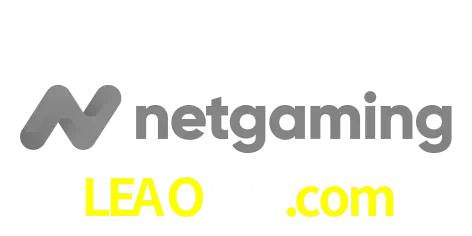 NetGaming